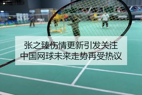 张之臻伤情更新引发关注 中国网球未来走势再受热议