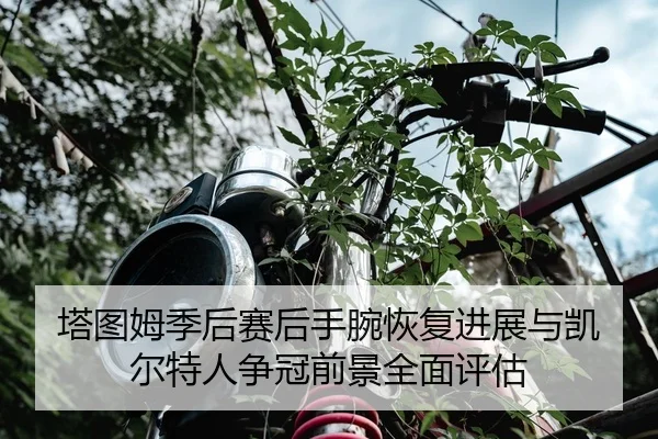 塔图姆季后赛后手腕恢复进展与凯尔特人争冠前景全面评估